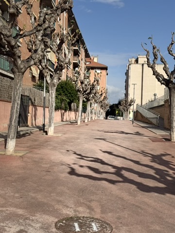 Picasso Museum visit in Barcelona