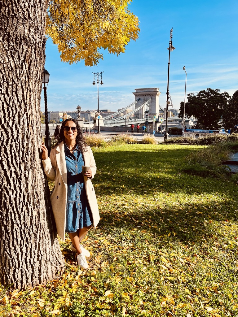Grand monuments along the Danube in Budapest